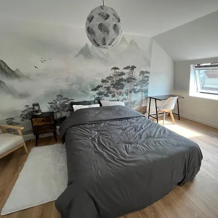 Duplex Cine Cosy - Hyper Centre 5min Gare Valenciennes