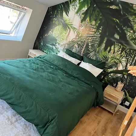 Duplex Cine Cosy - Hyper Centre 5min Gare