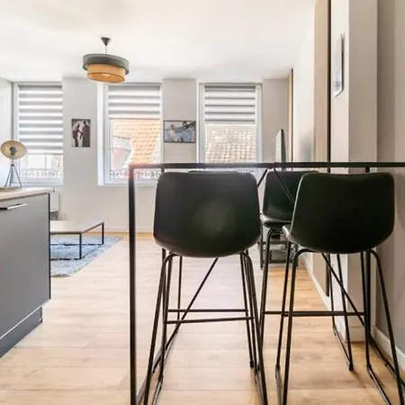 Voyage En Duplex En Hyper Centre Apartment Valenciennes